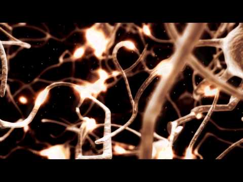 Teaser Trailer Alert: Virus of the Dead | Vestra Pictures