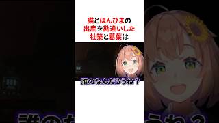 猫とほんひまの出産を勘違いして家族漫才をする社築と葛葉　VTuber#にじさんじ#雑学#豆知識