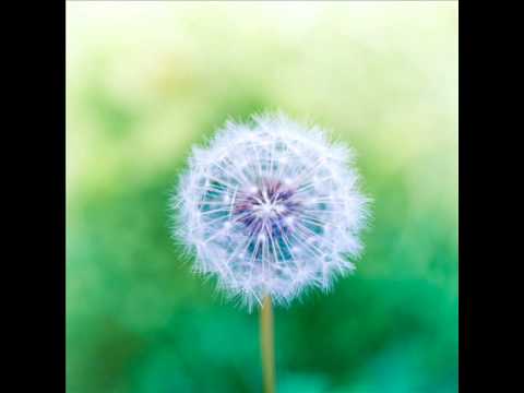 Nu acum  - Cântec singur (Nichita Stănescu)