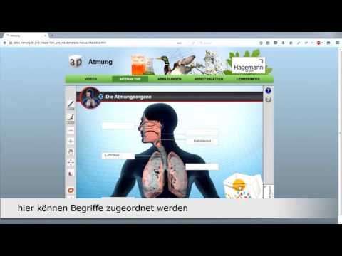 Didaktische DVD Unser Körper in 3D - Atmung