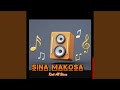 Sina Makosa
