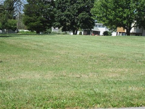 Villager Realty - Lewisburg Office - LOMBARD Avenue