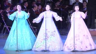  - North Korean Dance and Music Show 2014