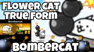 Cách True Form FlowerCat - Bombercat - The Battle Cats VietNam ~