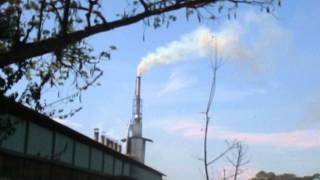 preview picture of video 'Polusi Udara di Pasuruan - Pabrik Arang di desa Asemkandang Pasuruan'