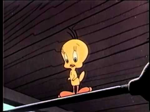 Mislim, da sam vidio micu macu - crtač (Sylvester & Tweety)
