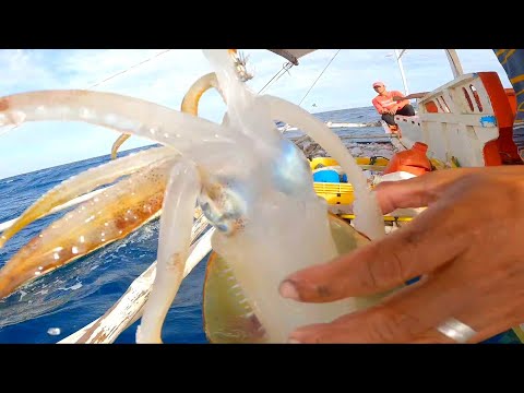 Part 2 catch and sell Jackpot