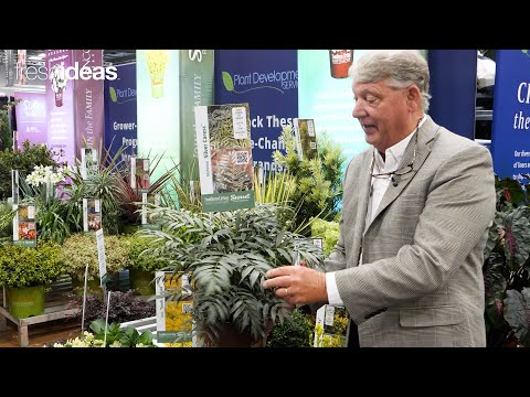 Bright New Plants to Transform Your Garden