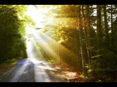 As The Sun Shines- Composed by Colin Hamilton
