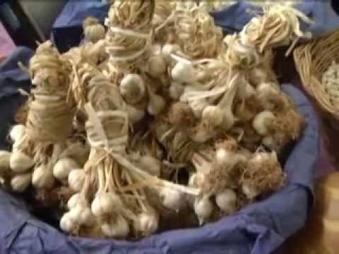 ONDA TG 26.02.2013 - GIORNATA DELLO SCAMBIO DEI SEMI