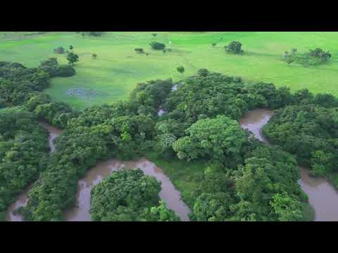 Rio Turvo em Palminópolis | Goiás