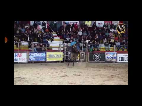 Cavalo Transcape Cia. Galego e Ari Piovesan Junior (Rodeio de Rubinéia 2022)