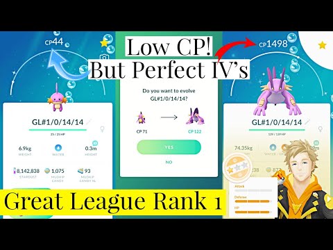 🥺 44cp! 😍 But Perfect iv Great League Rank 1 "Shiny Mudkip" Evolution Into Swampert In Pokemon Go
