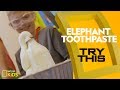Elephant Toothpaste | Try This!