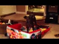 Lou Hates Sesame Street