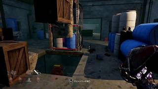 【Twitter用】久々のハッチキャッチ【DBD】