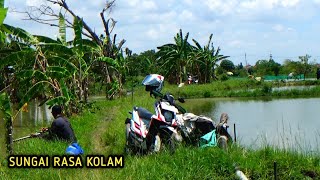 Download lagu A RECORD FOR CATCHING 10 LARGE CARP! FREE FISHING IN PLOSO BUDEN VILLAGE, FULL STRIKES IN A ROW mp3