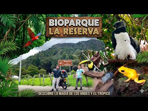 Reto 4/116: ¡Entramos al santuario más salvaje de Cota! 🦅 El secreto de La Reserva
