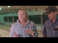 A Day In The Life Of A Chicken Meat Farmer