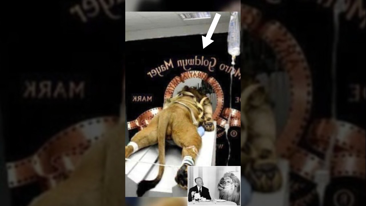 The Dark Secrets of the MGM Lion’s Roar #shorts