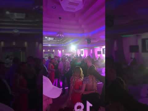 Senad trailovic i Mikan njegusic uzivo