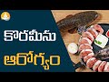 Health Benefits Of Korameenu Fish Drcalmssanjeevani Korameenu Nonveg Fishcurry Fish Curry