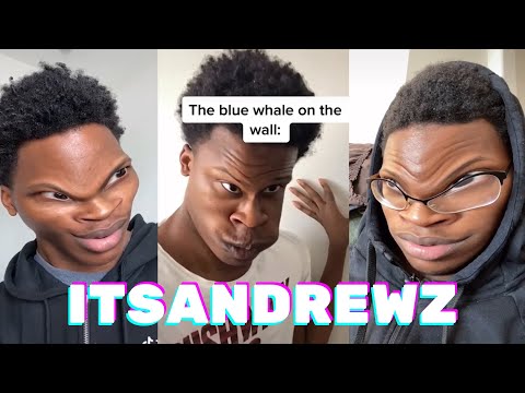 Shorts Comps and Reddit