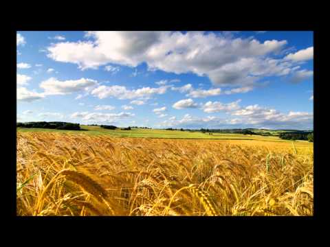 download lagu mp3 mp4 Familiq Tonika Neka Da E Lqto, download mp3 Familiq Tonika Neka Da E Lqto free downloadn, video klip Familiq Tonika Neka Da E Lqto