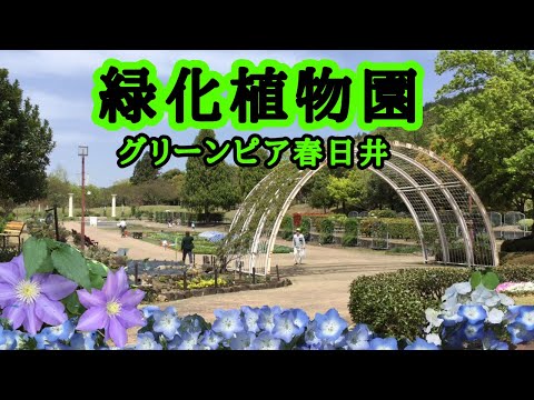 [Jardín Botánico Urbano (Greenpia Kasugai)] Relájate en la naturaleza y disfrútala con tu familia y amigos.