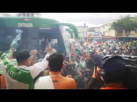 "Vamos liga" Barra: Máfia Verde &bull; Club: Liga de Portoviejo
