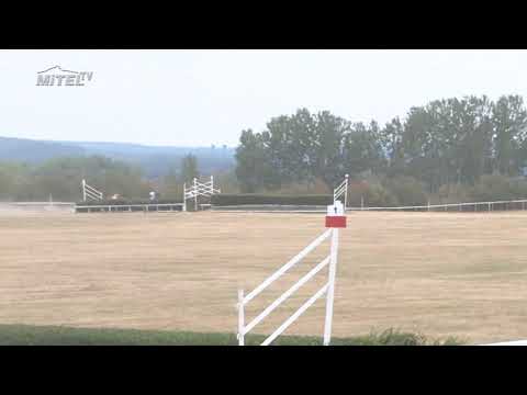 MI, 4. 8. 2018, 2. dostih - Cena firmy MAESTOSO Luna