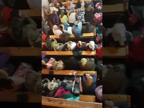 Tinerii din Austria la Ciuta