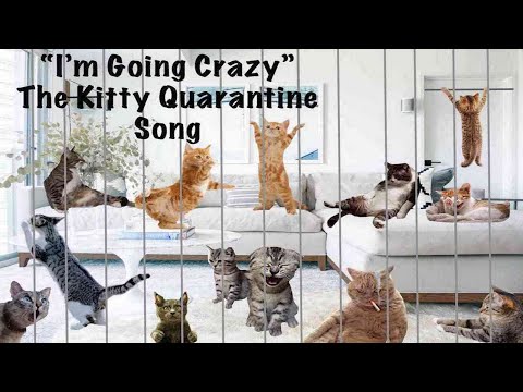 Sir Mashalot: I'm Going Crazy (Quarantine Song)