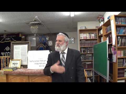 Tehilim (Psalms) Lecture 32 - Chapter 22 - Part 3