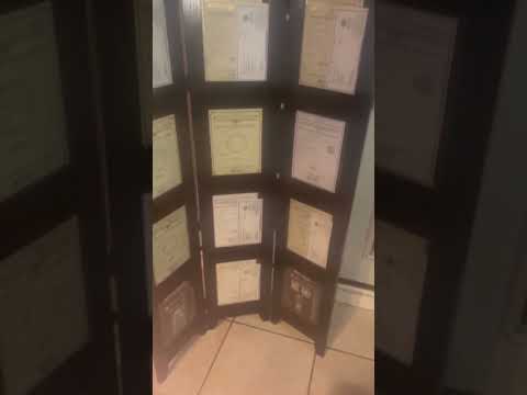 X-Plicit Kennels 9 generations #shortsvideo #shorts #amstaff #pitbull