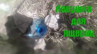 Как поймать прыткую ящерицу в подмосковье