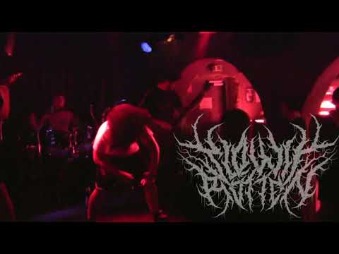 Bambi Galore 2011 - Slowly Rotten