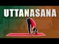 Uttanasana Yoga Posture Standing Forward Bend Pose