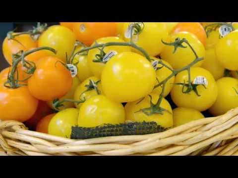 SpartanNash  Taking Food Places