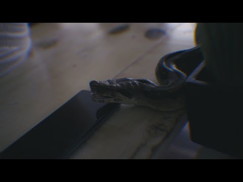 Wesos El Savage - 'CDMX' feat. @YungColdMx  , R3ptyl & @Daino23