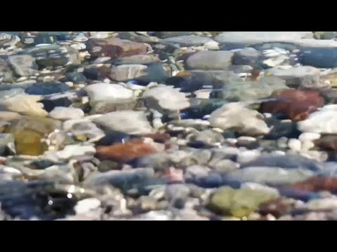 Super clean beach#viral #shortsfeed #bangladesh #usa#beach
