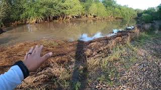 San Miguel Creek in Texas IS FLOWING AGAIN!