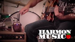 Danelectro CT-1 Cool Cat Tremolo - What To Know & Where To Buy