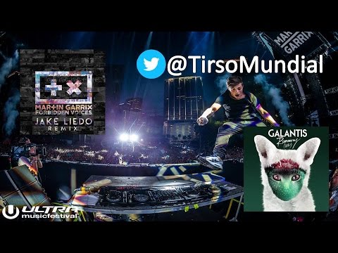 Martin Garrix - Forbbiden Voices vs Runaway (Mashup)