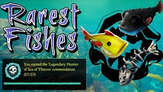 Rarest Fish Farm Guide - how to grind all farmable rare fish
