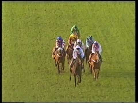 2002 Stan James Challow Novices' Hurdle