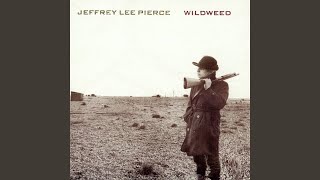 Jeffrey Lee Pierce - Love and Desperation video