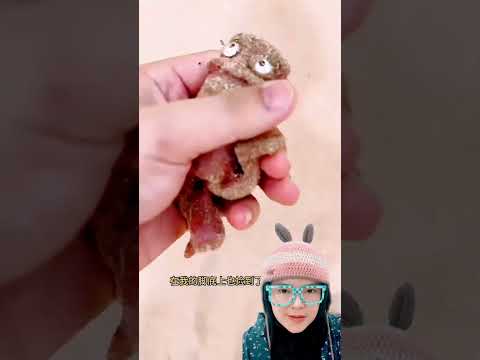 tung tung nempel‼️islamokvideo1127