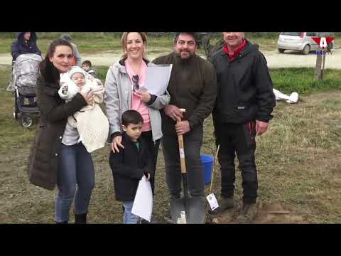 Apadrinamiento de almendros - Alko TV