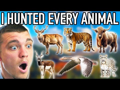I Hunted Every Animal in the Himalaya Mountains!